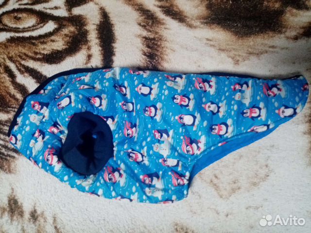 Одежда для маленьких собак