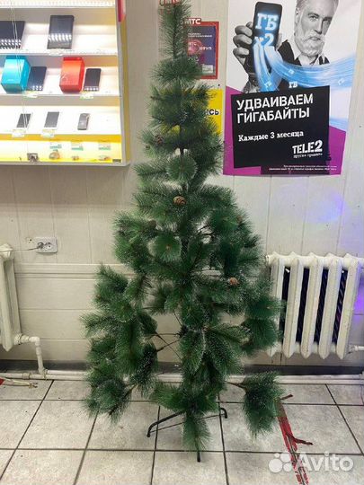 Ель зеленая 1.8м