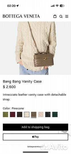 Bang Bang Vanity Case bottega veneta