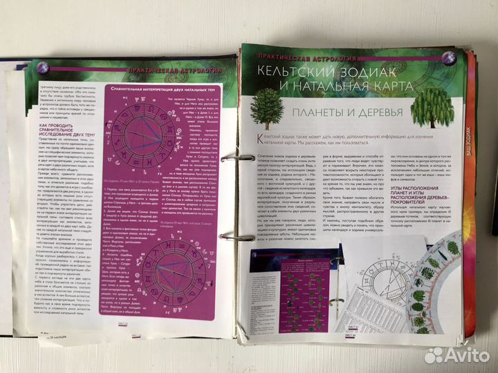 Астрология. Гороскоп. Гадания. Приметы