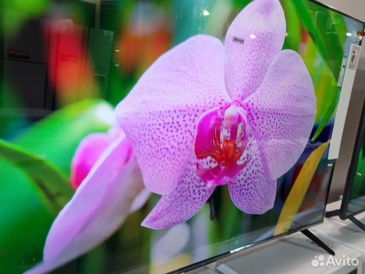 Телевизор tcl 55p637