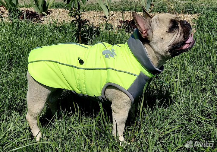 Жилетка для собак