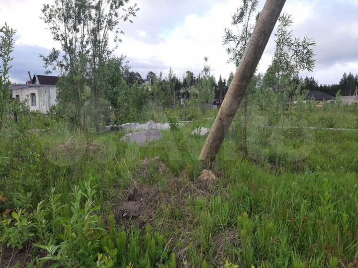 Участок 13,7 сот. (СНТ, ДНП)