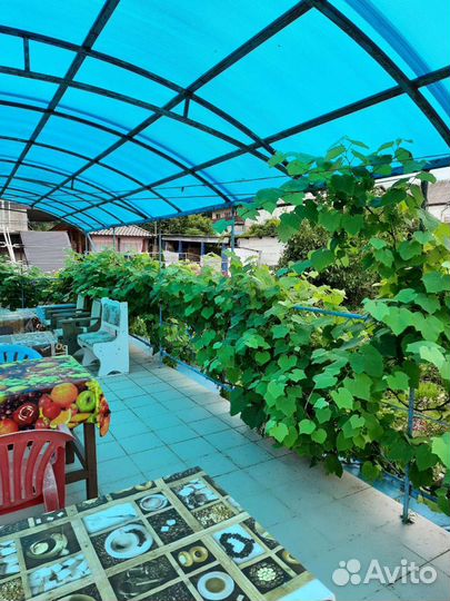 Отдых в Джубге на Черноморской 30