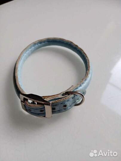 Ошейник для щенка