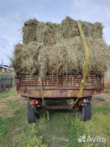 Продам сено в рулонах