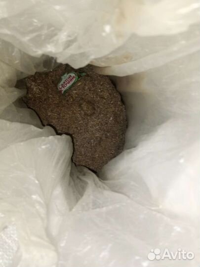 Лаванда в мешкe