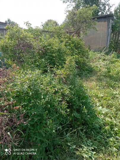 Участок 6 сот. (СНТ, ДНП)