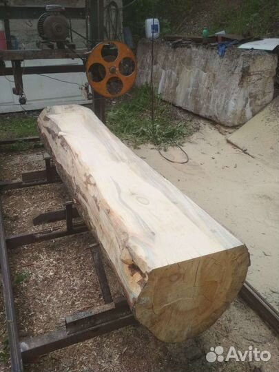 Кело,сухая сосна, лиственница