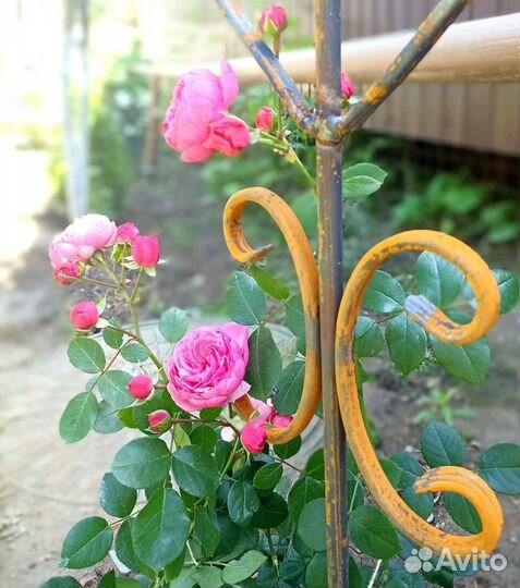 Опоры для растений