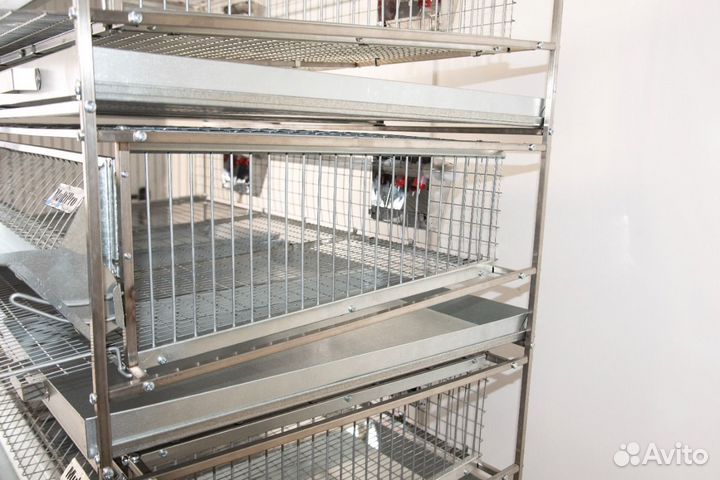Клетка 
