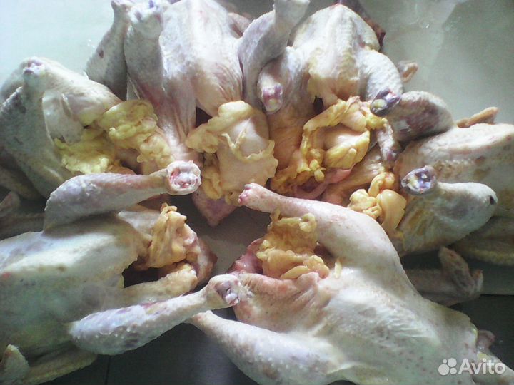 Мясо деревенских кур