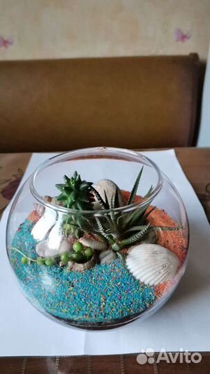 Флорариум с суккулентами 