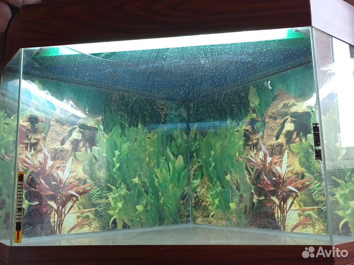 Аквариум