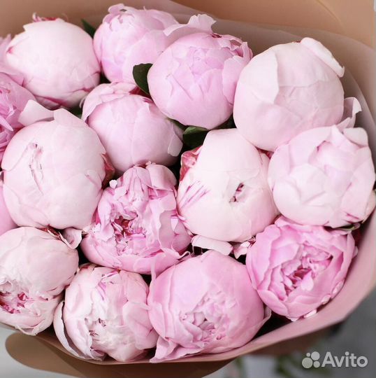 Пионы. Букеты. Цветы с Доставкой