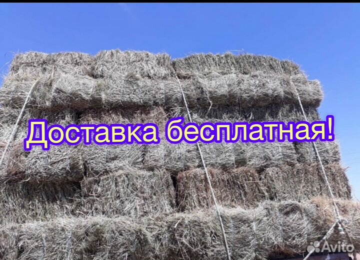 Сено в тюках