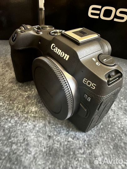 Цифровая камера Canon EOS R8 body