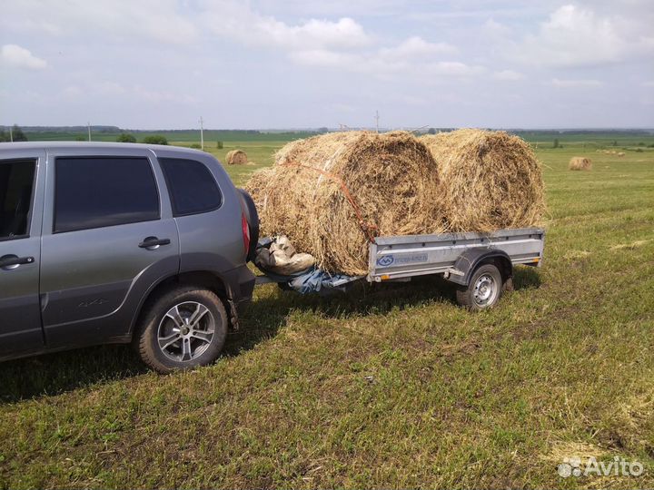 Продам сено в рулонах