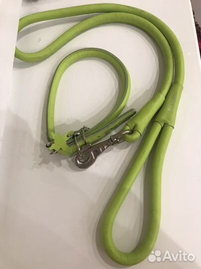 Ошейник и поводок