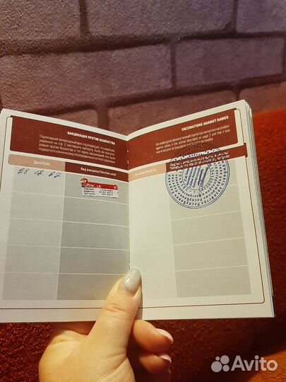 Ерширский терьер