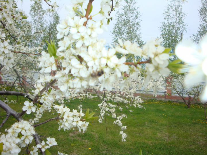 Коттедж 300 м² на участке 30 сот.