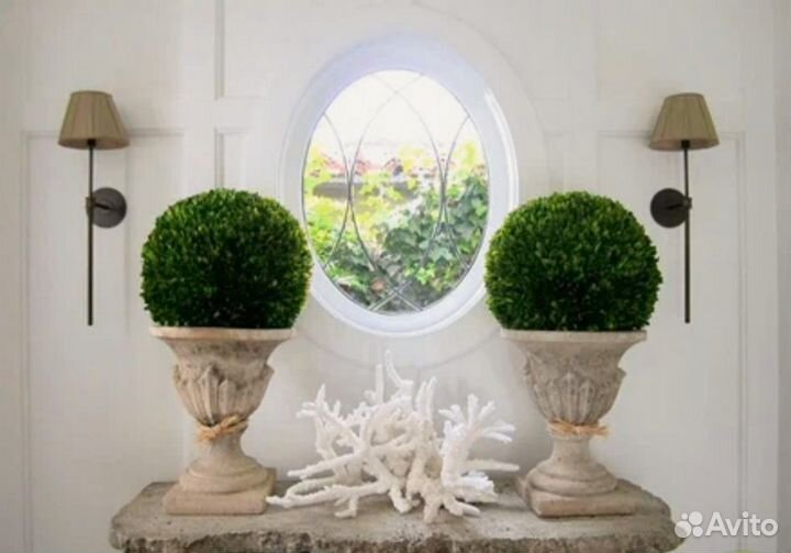 Топиарий Круглые фигуры