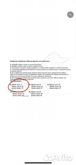 Комбинезон для таксы девочки