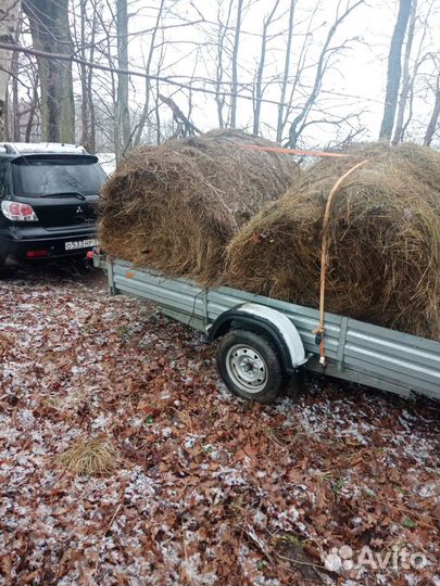 Доставка груза, аренда прицепа