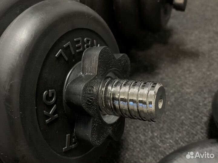 Гантели разборные 21,5 кг каждая, пара, 25 мм