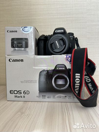 Canon EOS 6D Mark II + объектив EF 50mm f/1.8