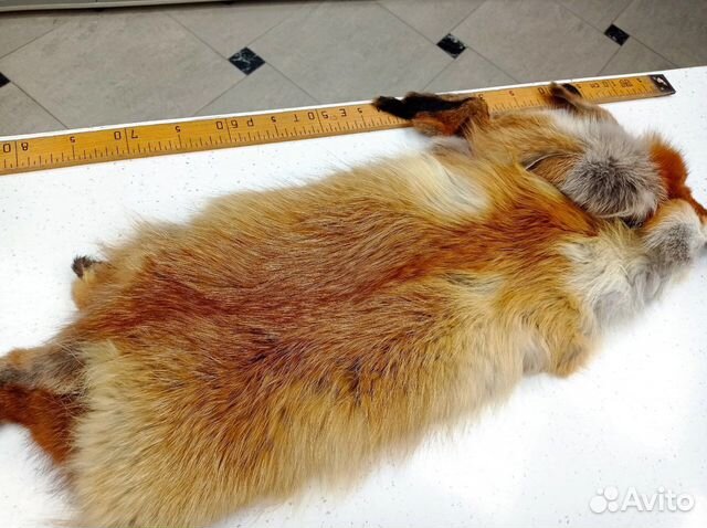 Шкуры лисы