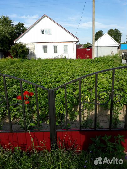Ветеринарный врач