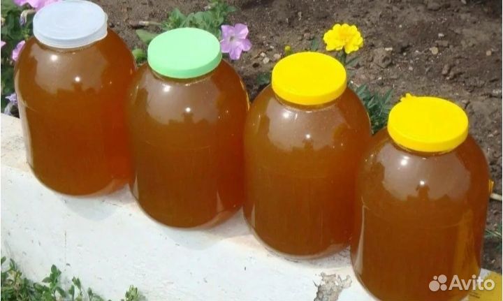 Продам свежий мёд 3 литра 2000 р