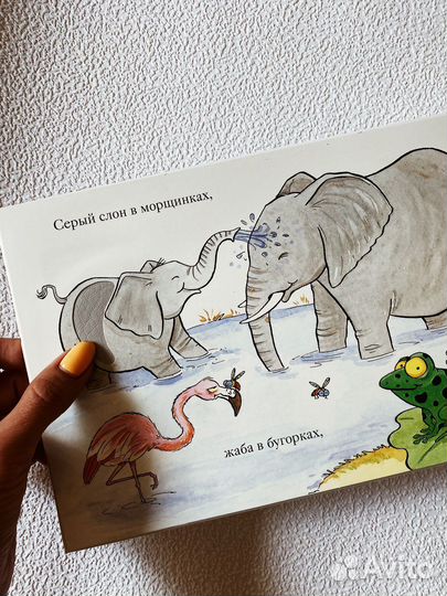 Сенсорная книга Зоопарк Мэтью Ван Флит