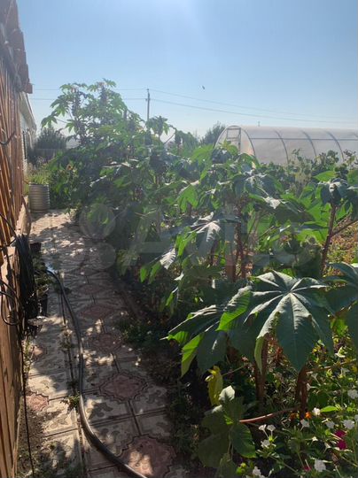 Дом 180 м² на участке 20 сот.