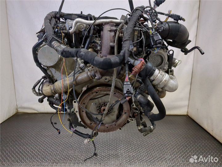 Двигатель Volkswagen Phaeton, 2008