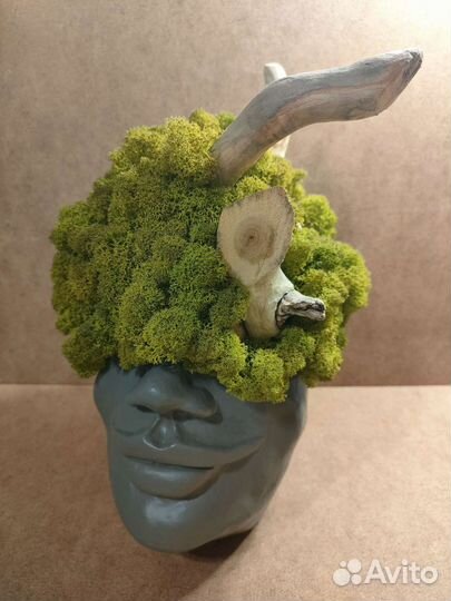 Кашпо из бетона со мхом