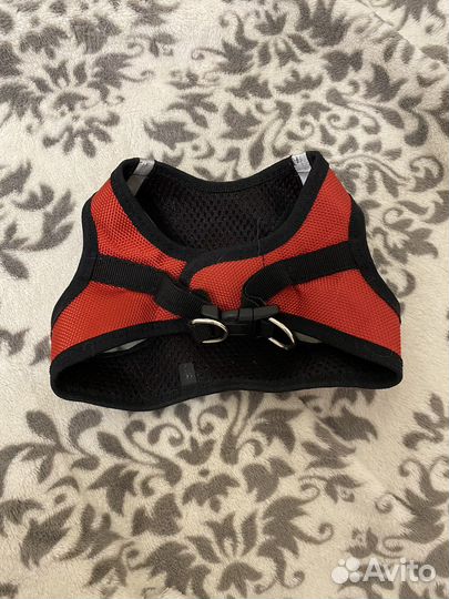 Шлейка для маленькой собаки