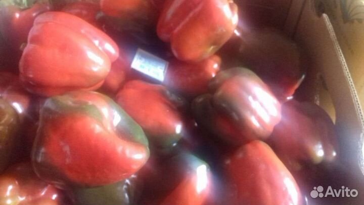 Помидор Перец