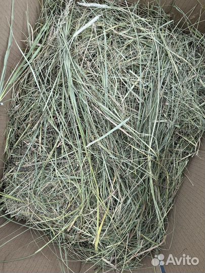 Для шиншилл, кроликов