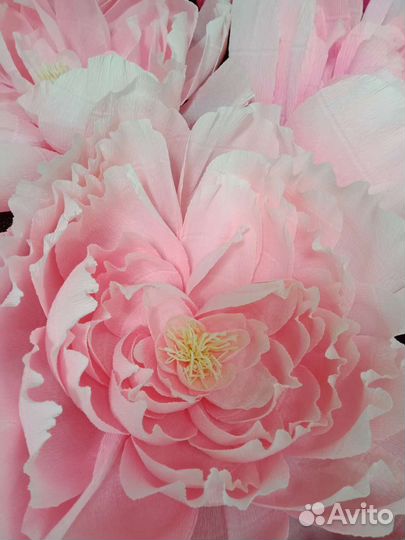 Гигантские цветы для фотозоны