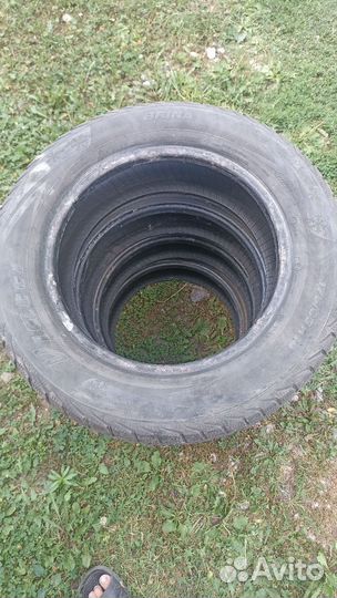 Viatti Brina V-521 175/65 R14