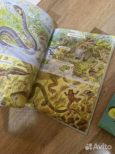 Детские книжки