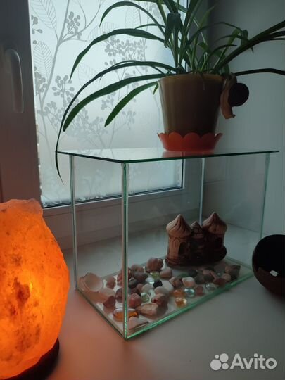 Аквариум на 20 литров