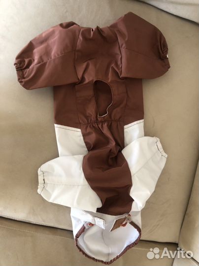 Одежда для собак