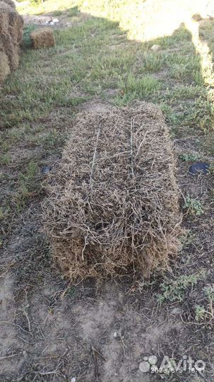 Тюки гороховая солома