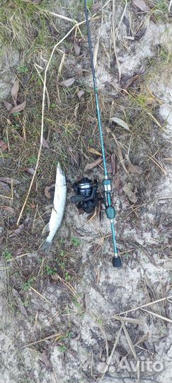 Спиннинг dayo prestige