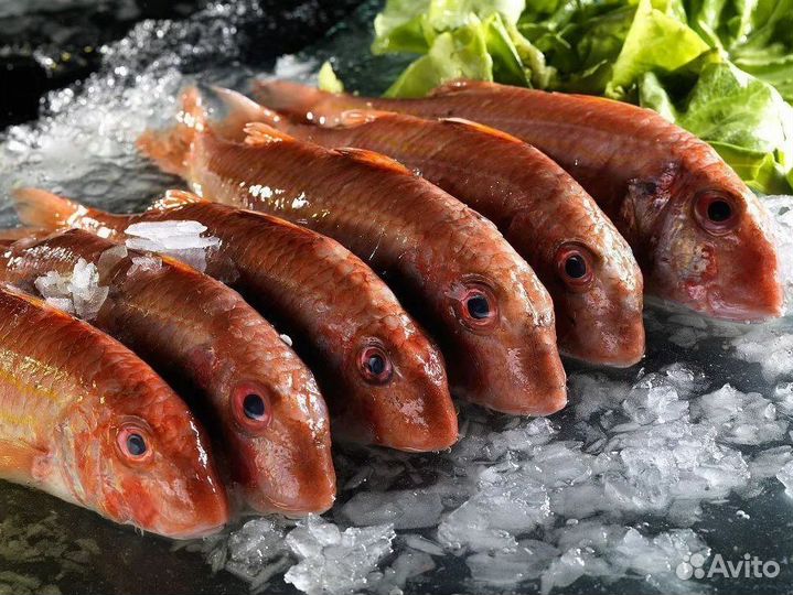 Готовый бизнес: рыбный магазин в центре