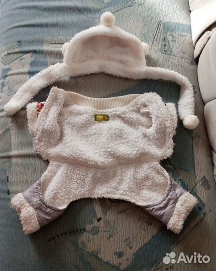 Одежда для маленьких собачек