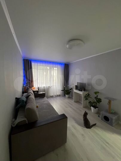 1-к. квартира, 30,3 м², 2/5 эт.